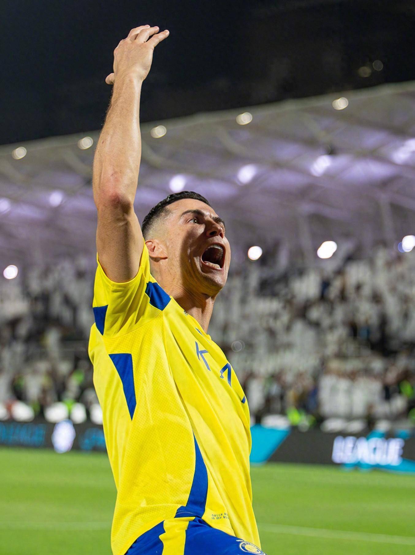 可见当对手 可见当对手